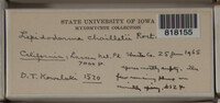Image Associated With the Occurence